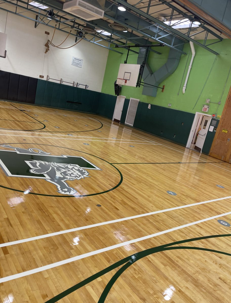 Finished gym floor with the lion logo at the left edge